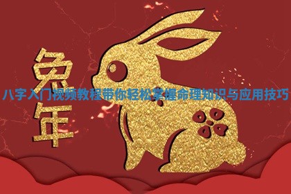 八字入门视频教程带你轻松掌握命理知识与应用技巧