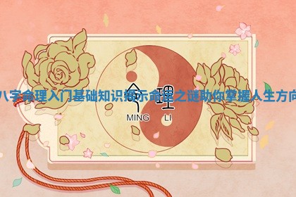 八字命理入门基础知识揭示命运之谜助你掌握人生方向