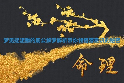 梦见捉泥鳅的周公解梦解析带你领悟潜意识的秘密