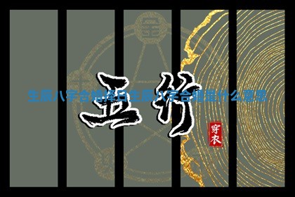 生辰八字合婚择日_生辰八字合婚是什么意思