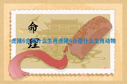虎猪6合是什么生肖 虎猪6合是什么生肖动物